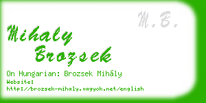 mihaly brozsek business card